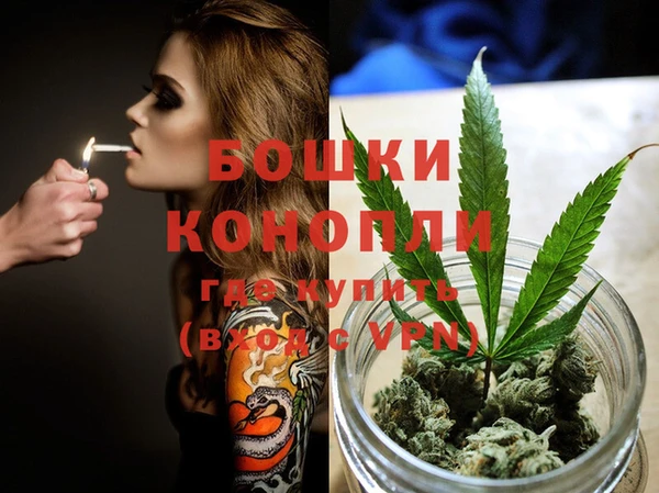 молекула духа Дмитров