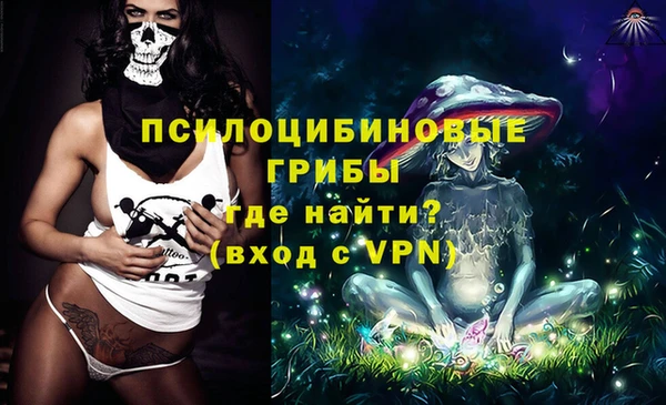 молекула духа Дмитров