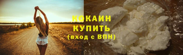 мдма Дмитриев
