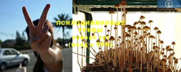 круглые Дмитровск