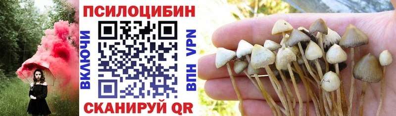 Галлюциногенные грибы Psilocybine cubensis  Купить где  Зверево 